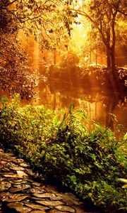 Preview wallpaper wood, footpath, stones, sunlight, beams, trees, vegetation