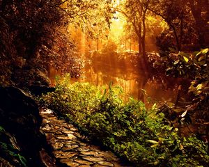 Preview wallpaper wood, footpath, stones, sunlight, beams, trees, vegetation