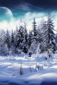 Preview wallpaper wood, fur-trees, snow, snowdrifts, fog, moon