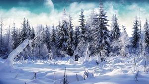 Preview wallpaper wood, fur-trees, snow, snowdrifts, fog, moon