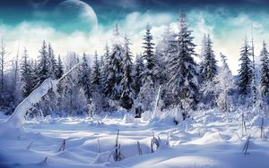 Preview wallpaper wood, fur-trees, snow, snowdrifts, fog, moon