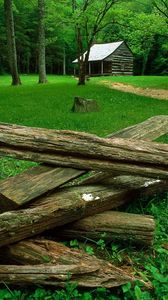 Preview wallpaper wood, glade, houses, trees, grass, green, dry logs