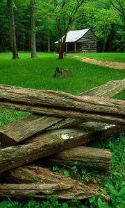 Preview wallpaper wood, glade, houses, trees, grass, green, dry logs