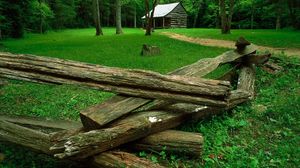 Preview wallpaper wood, glade, houses, trees, grass, green, dry logs