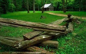 Preview wallpaper wood, glade, houses, trees, grass, green, dry logs