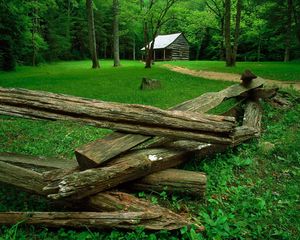 Preview wallpaper wood, glade, houses, trees, grass, green, dry logs