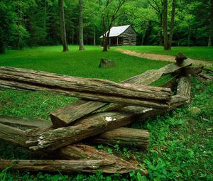 Preview wallpaper wood, glade, houses, trees, grass, green, dry logs