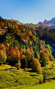 Preview wallpaper wood, green, mountains, hills, relief, landscape, shadows, freshness, air