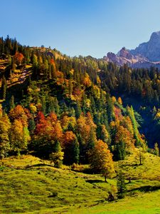 Preview wallpaper wood, green, mountains, hills, relief, landscape, shadows, freshness, air