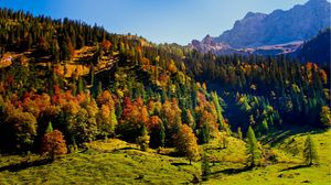 Preview wallpaper wood, green, mountains, hills, relief, landscape, shadows, freshness, air