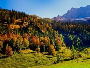 Preview wallpaper wood, green, mountains, hills, relief, landscape, shadows, freshness, air