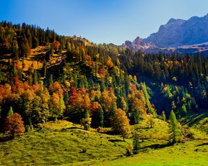 Preview wallpaper wood, green, mountains, hills, relief, landscape, shadows, freshness, air