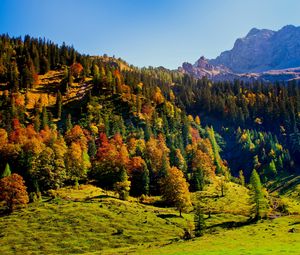 Preview wallpaper wood, green, mountains, hills, relief, landscape, shadows, freshness, air