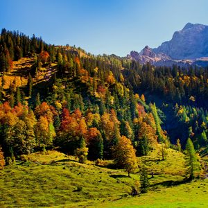 Preview wallpaper wood, green, mountains, hills, relief, landscape, shadows, freshness, air