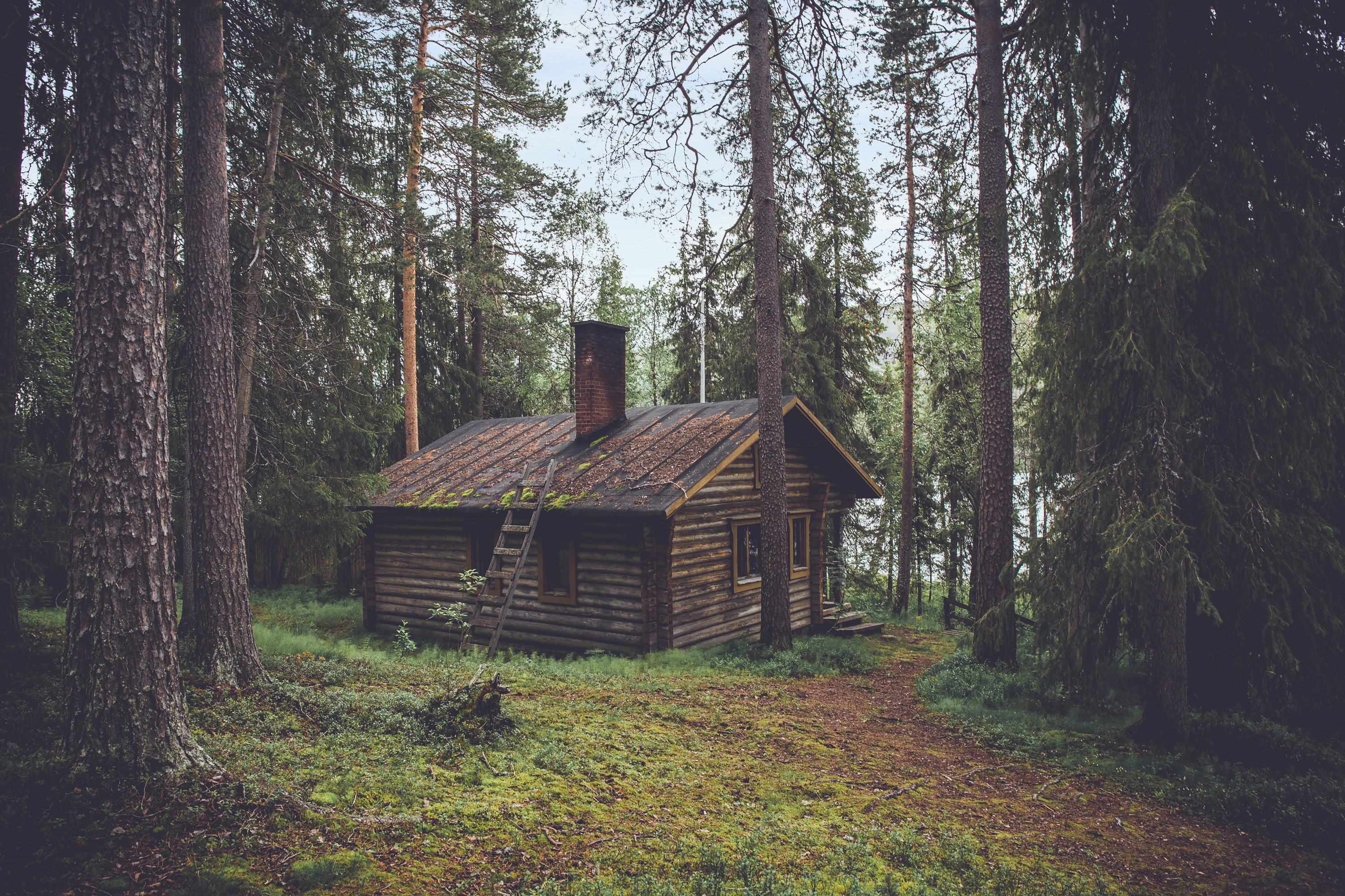 Дом в лесу. Монастырь скит глушь. Друскининкай лес избушка. Лесная Хижина Финляндия. Тайга Хижина лесника.