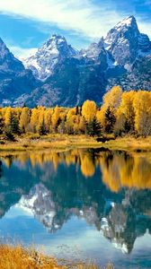 Preview wallpaper wood, lake, trees, autumn, national park, wyoming, reflection