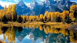 Preview wallpaper wood, lake, trees, autumn, national park, wyoming, reflection
