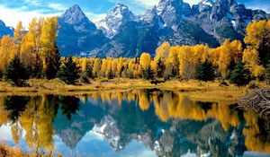 Preview wallpaper wood, lake, trees, autumn, national park, wyoming, reflection