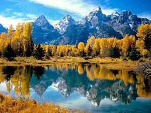 Preview wallpaper wood, lake, trees, autumn, national park, wyoming, reflection