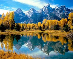 Preview wallpaper wood, lake, trees, autumn, national park, wyoming, reflection