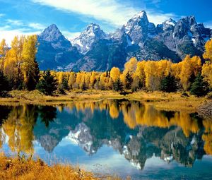 Preview wallpaper wood, lake, trees, autumn, national park, wyoming, reflection