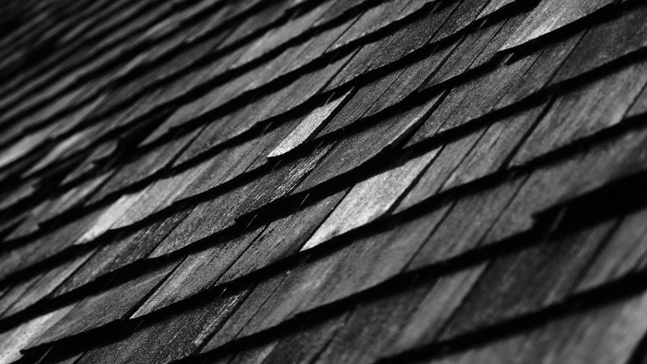 Wallpaper wood, layers, relief, texture, black and white