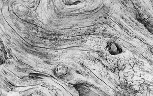 Preview wallpaper wood, lines, texture, black and white