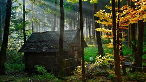 Preview wallpaper wood, lodge, autumn, leaves, gleam, morning