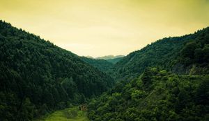 Preview wallpaper wood, lodge, solitude, mountains, green