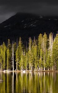 Preview wallpaper wood, mountain, volcano, lake, coast, top, gloomy, autumn