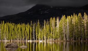 Preview wallpaper wood, mountain, volcano, lake, coast, top, gloomy, autumn