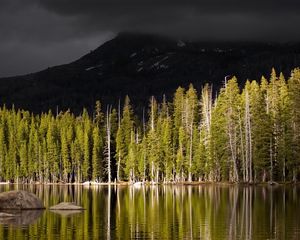 Preview wallpaper wood, mountain, volcano, lake, coast, top, gloomy, autumn