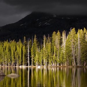 Preview wallpaper wood, mountain, volcano, lake, coast, top, gloomy, autumn