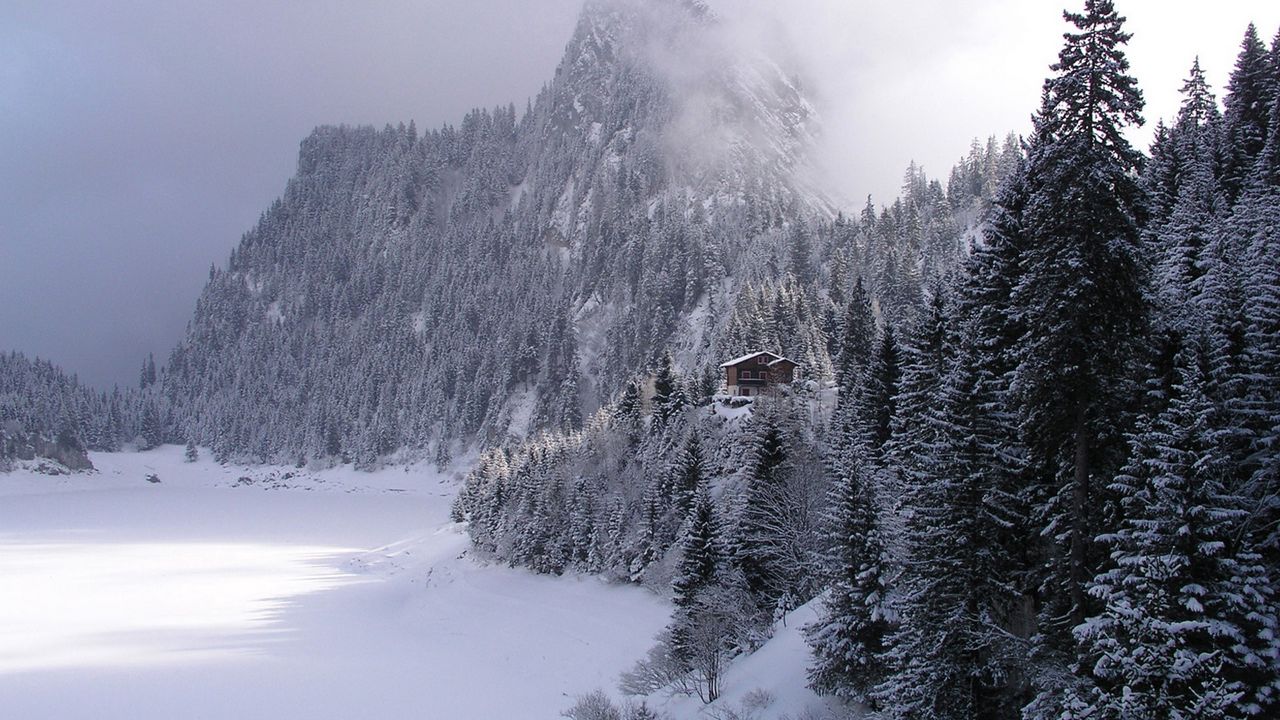 Wallpaper wood, mountains, fog, haze, fur-trees, snow, small house