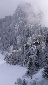 Preview wallpaper wood, mountains, fog, haze, fur-trees, snow, small house