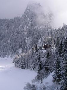 Preview wallpaper wood, mountains, fog, haze, fur-trees, snow, small house