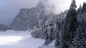 Preview wallpaper wood, mountains, fog, haze, fur-trees, snow, small house