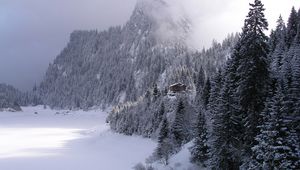 Preview wallpaper wood, mountains, fog, haze, fur-trees, snow, small house