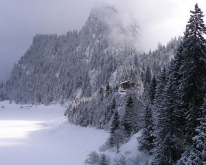 Preview wallpaper wood, mountains, fog, haze, fur-trees, snow, small house