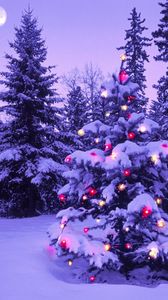 Preview wallpaper wood, new year, christmas, fur-tree, fires, garland, snow, winter, sky, moon, evening