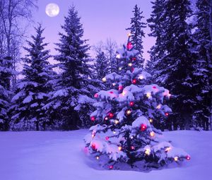 Preview wallpaper wood, new year, christmas, fur-tree, fires, garland, snow, winter, sky, moon, evening