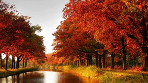 Preview wallpaper wood, orange, trees, channel, autumn