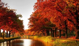 Preview wallpaper wood, orange, trees, channel, autumn