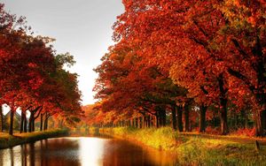 Preview wallpaper wood, orange, trees, channel, autumn