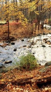 Preview wallpaper wood, river, autumn, stones, leaves, trees, sun, day