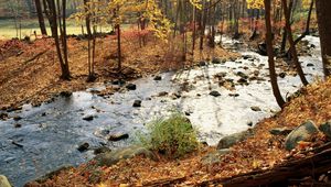 Preview wallpaper wood, river, autumn, stones, leaves, trees, sun, day