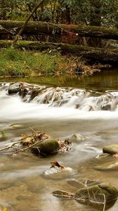 Preview wallpaper wood, river, branches, trees, stones, moss