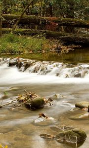 Preview wallpaper wood, river, branches, trees, stones, moss