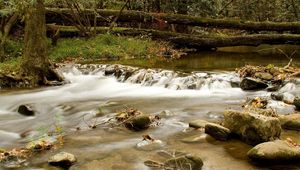 Preview wallpaper wood, river, branches, trees, stones, moss