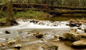 Preview wallpaper wood, river, branches, trees, stones, moss